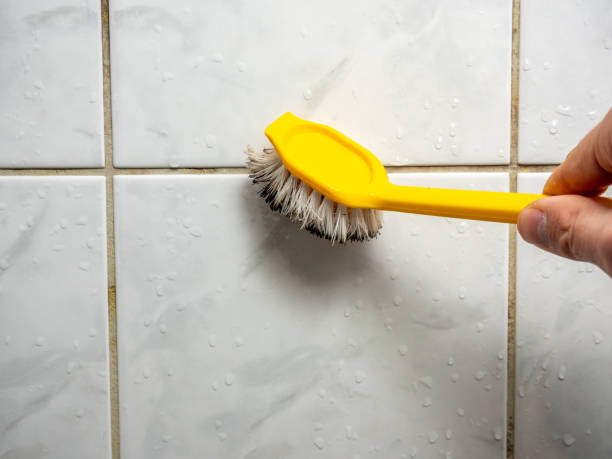 Best Residential Mold Removal  in Agoura Hills, CA